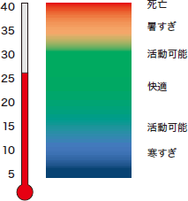 ハウス内の温度が30℃以上になると巣箱内の温度が高くなりすぎ、危険な状態となります